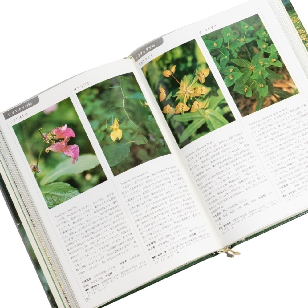 Wildflowers of Japan (Japanese Edition) with Slipcover by Yamakei Color Deluxe c - Picture 9 of 10